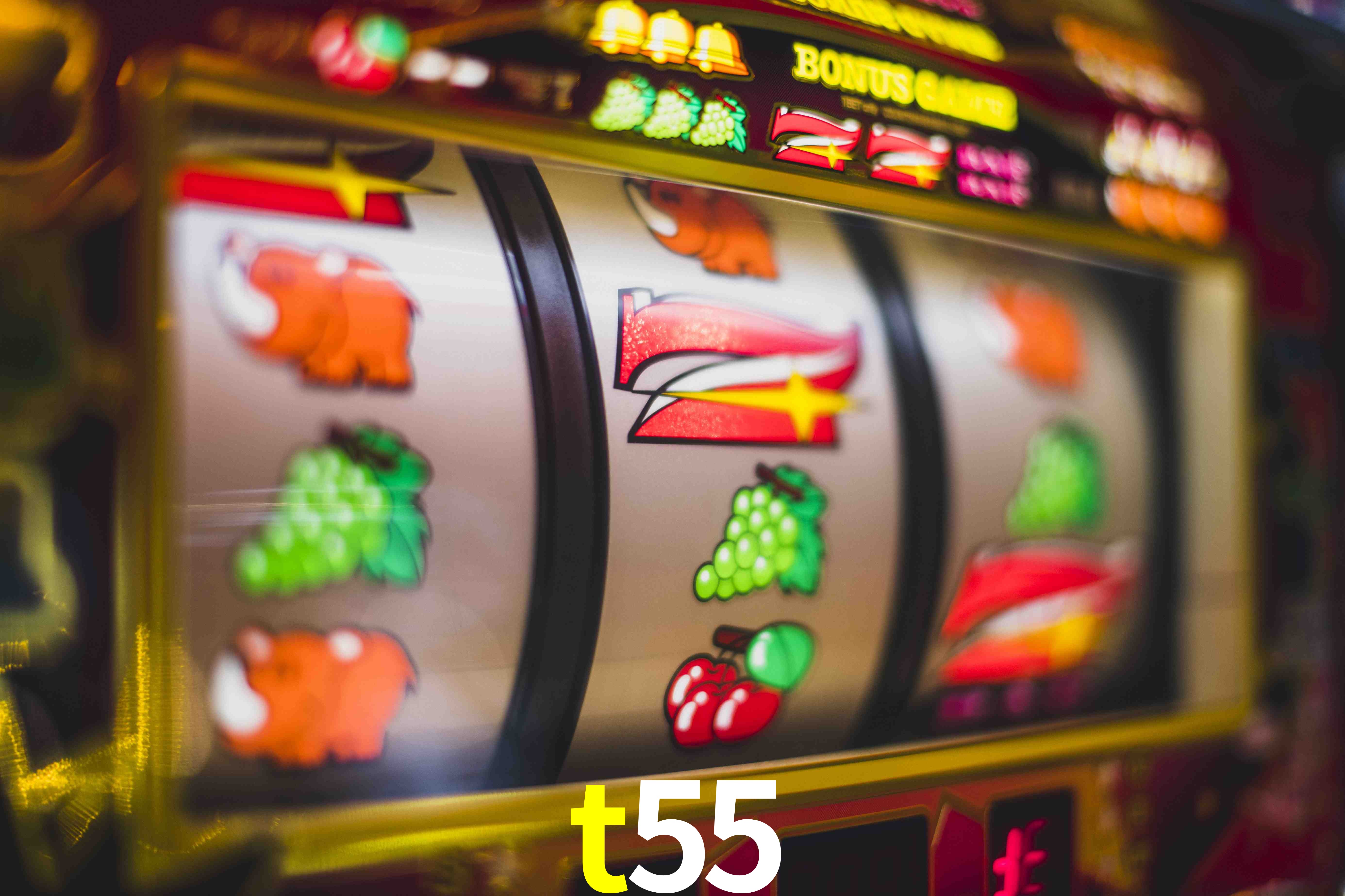 VIP Casino t55